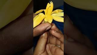 #flowers#