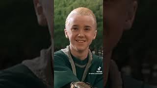 POV: Remembering Y/N Malfoy... (Not mine)