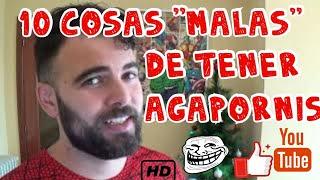 10 COSAS "MALAS" DE TENER AGAPORNIS (Fauna Indoor)