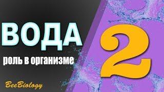 Урок№2 - ВОДА - Зачем Пить Воду? | Биологическая Роль Воды в Организме Человека