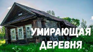 Умирающая деревня. Страшная история.