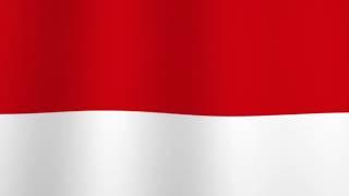 Indonesian Flag - Animasi Bendera Merah Putih - Stock Footage