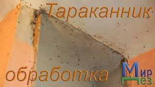 МирДез, обработка от таракнов (2019г) 21