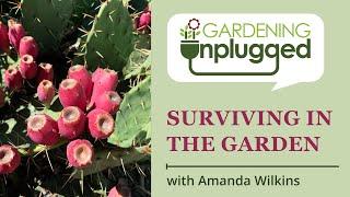 Gardening Unplugged - Surviving in the Garden with Amanda Wilkins