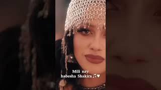 Mili habesha shekira