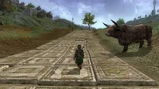 LOTRO Walk Across Middle-earth