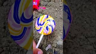 Millipede and Lolipop #jwildlifetv