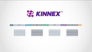 Kinnex explained—how concatenating smaller amplicons increases throughput for PacBio HiFi sequencing