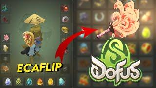 CE CAC EST STUPIDE SUR DOFUS ...