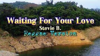 Waiting For Your Love  - Stevie B | Reggae Version LYRICS Cover.