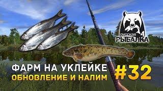 Русская рыбалка 4 #32 - Фарм на Уклейке. Обновление и Налим