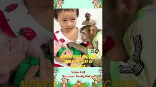 Monkey kaka and baby deim  took care of baby Mit so adorable #monkey4u  #monkeykaka  #kaka