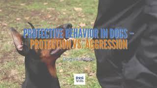 Protective Behavior in Dogs – Protection vs  Aggression