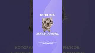 @vmvap  — телепорт в сеть. VPN, который работает.Переходите по ссылке в шапке профиля и скачивайте