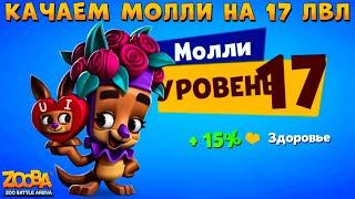 КАЧАЕМ КЕНГУРУ МОЛЛИ НА 17 УРОВЕНЬ В ИГРЕ ZOOBA