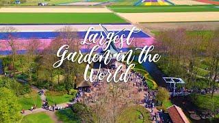 Exploring Keukenhof 2023: Largest Garden in The World! 