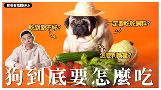 狗狗怎麼吃東西？一碗吃到飽不好嗎？【熊爸有話說】6｜熊爸估狗