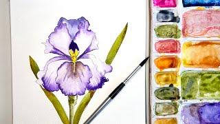 YOU WONT BELIEVE you painted this Beautiful watercolor IRIS, and sketched it yourself!