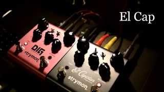 Roland Super JX into Strymon DIG and El Capistan