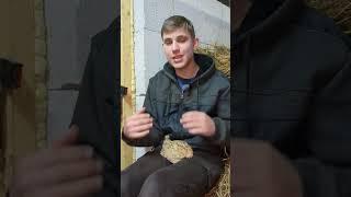 Как они все таки выжили в диких условиях?! #деревня #природа #птицы #жизнь #интересно #рек