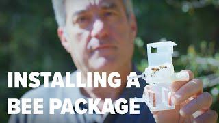 Installing a Bee Package: With Wood Bus