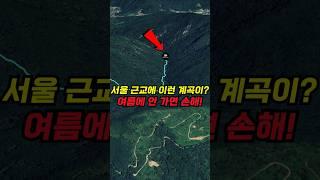 수도권 최고의 계곡! 유명산 계곡산행 코스 추천!