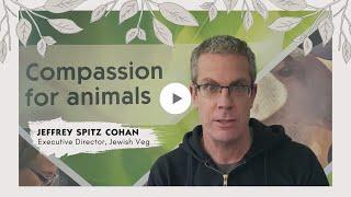 A Vegan Passover Seder - Jeffrey Spitz Cohan