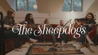 The Sheepdogs - Old man (Neil Young Cover)