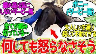 Croix du Nord ← Kitasan's offspring is essentially everyone's reaction to ponies! [Horse Racing R...