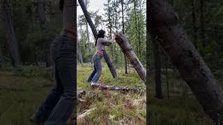 Gathering more firewood today! 🪵