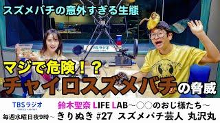 2７　鈴木聖奈LIFE LAB　公式YouTube