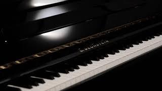 Discover the C. Bechstein Elegance 124