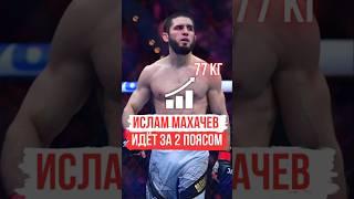 ИСЛАМ МАХАЧЕВ - Переходит в 77 кг ⬆️ | #исламмахачев #islammakhachev #ufc315