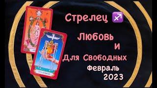 Стрелец Любовь и Для Свободных Февраль 2023