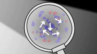 What is Brownian motion? | Chemistry for All | The Fuse School