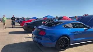 Supercharged Mustangs + I paint my coil covers