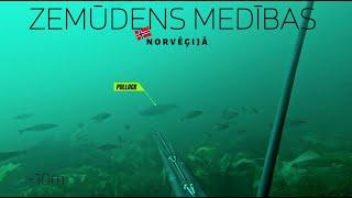 EP30 | Zemūdens medības Norvēģijā 2.daļa