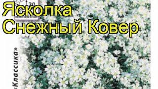 Ясколка обыкновенная Снежный Ковер. Краткий обзор, описание характеристик cerastium tomentosum