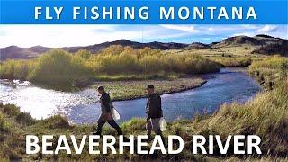 Fly Fishing Montana's Beaverhead River in October [Series Episode #2]