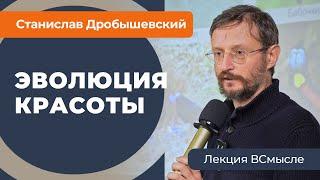 Дробышевский о красоте в древнем мире