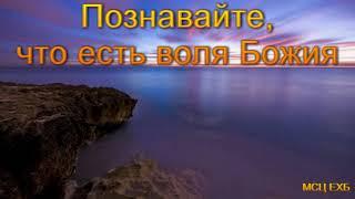 "Познавайте, что есть воля Божия". А. Костенко. МСЦ ЕХБ.
