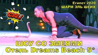 SNAKE SHOW ANIMATION DREAMS BEACH RESORT