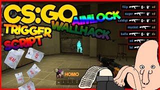 CS:GO Funny Moments | #31 [AIMLOCK? WALLHACK? TRIGGERBOT?]