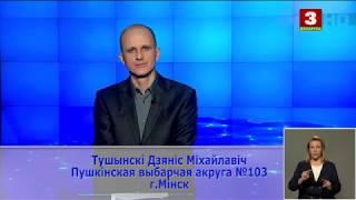 Выборы-2019. Денис Тушинский, Зелёные. Пушкинский № 103