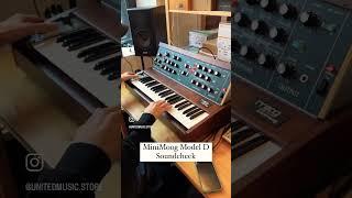 Moog Minimoog Model D  #moog #modeld #minimoog #moogmodeld #moogminimoog #UnitedMusic