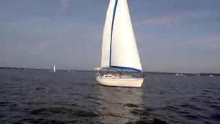 Light wind on West River