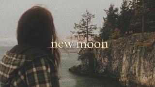 a nostalgic new moon comfort playlist (twilight saga) - instrumental + rain ambience