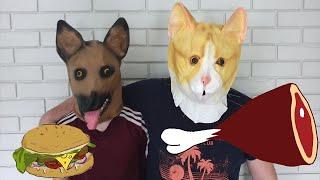 Bear suit, dogs and other animals masks videos, Senya Toys الكلب والبالونات