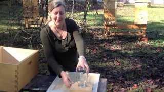 Donna's Adventures in Beekeeping - Feeding the Bees