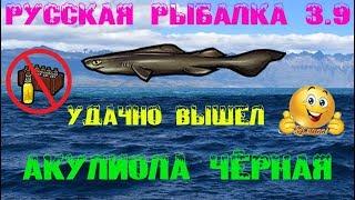 Русская рыбалка 3.9. Акулиола чёрная!